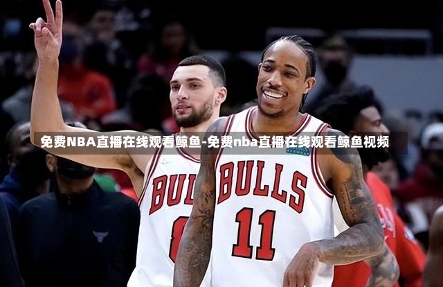 免费NBA直播在线观看鲸鱼-免费nba直播在线观看鲸鱼视频