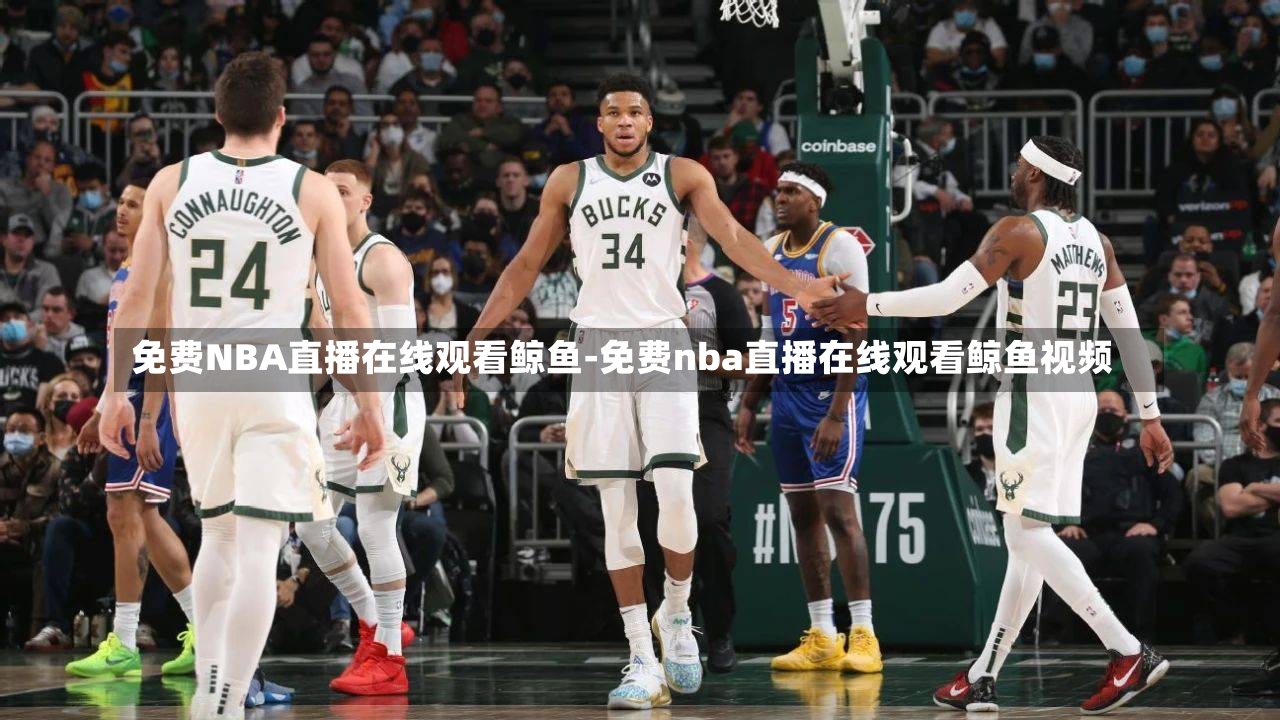 免费NBA直播在线观看鲸鱼-免费nba直播在线观看鲸鱼视频