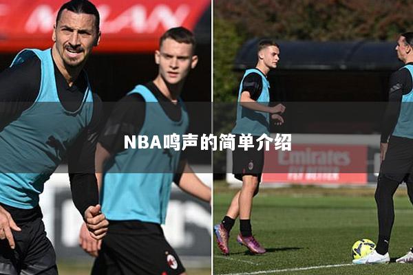 NBA鸣声的简单介绍