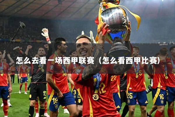 怎么去看一场西甲联赛（怎么看西甲比赛）