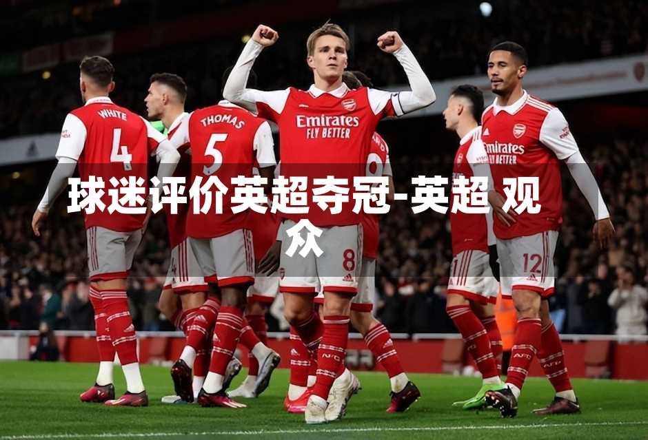球迷评价英超夺冠-英超 观众