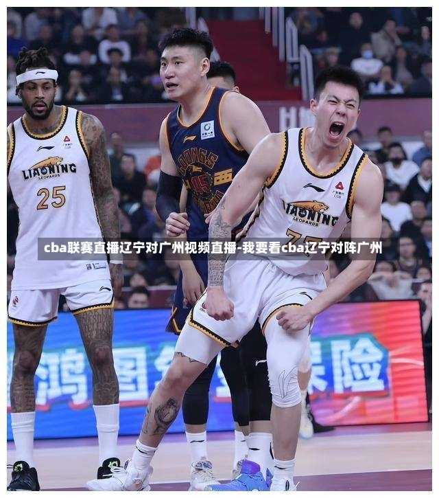 cba联赛直播辽宁对广州视频直播-我要看cba辽宁对阵广州