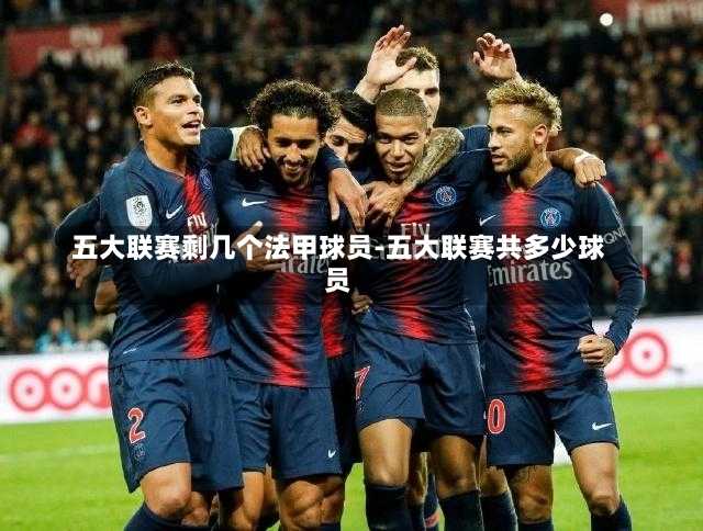 五大联赛剩几个法甲球员-五大联赛共多少球员