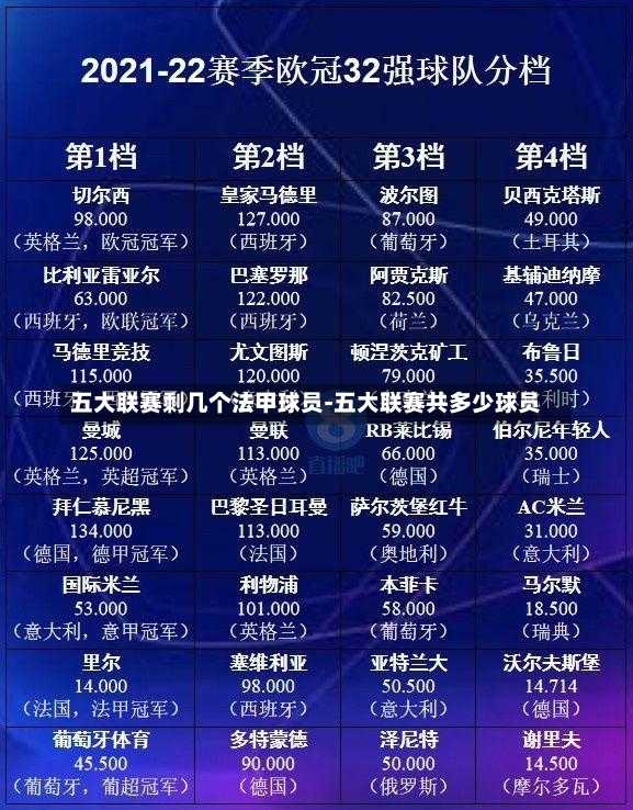 五大联赛剩几个法甲球员-五大联赛共多少球员