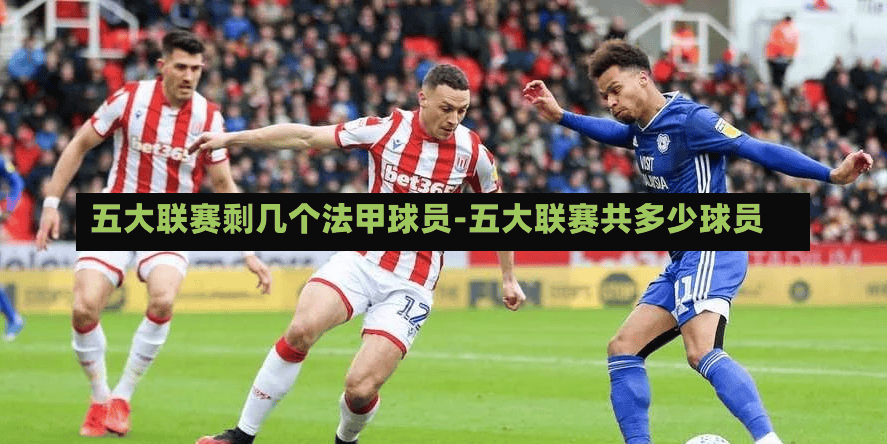 五大联赛剩几个法甲球员-五大联赛共多少球员