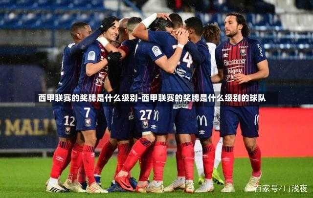 西甲联赛的奖牌是什么级别-西甲联赛的奖牌是什么级别的球队