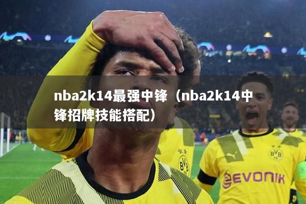 nba2k14最强中锋（nba2k14中锋招牌技能搭配）