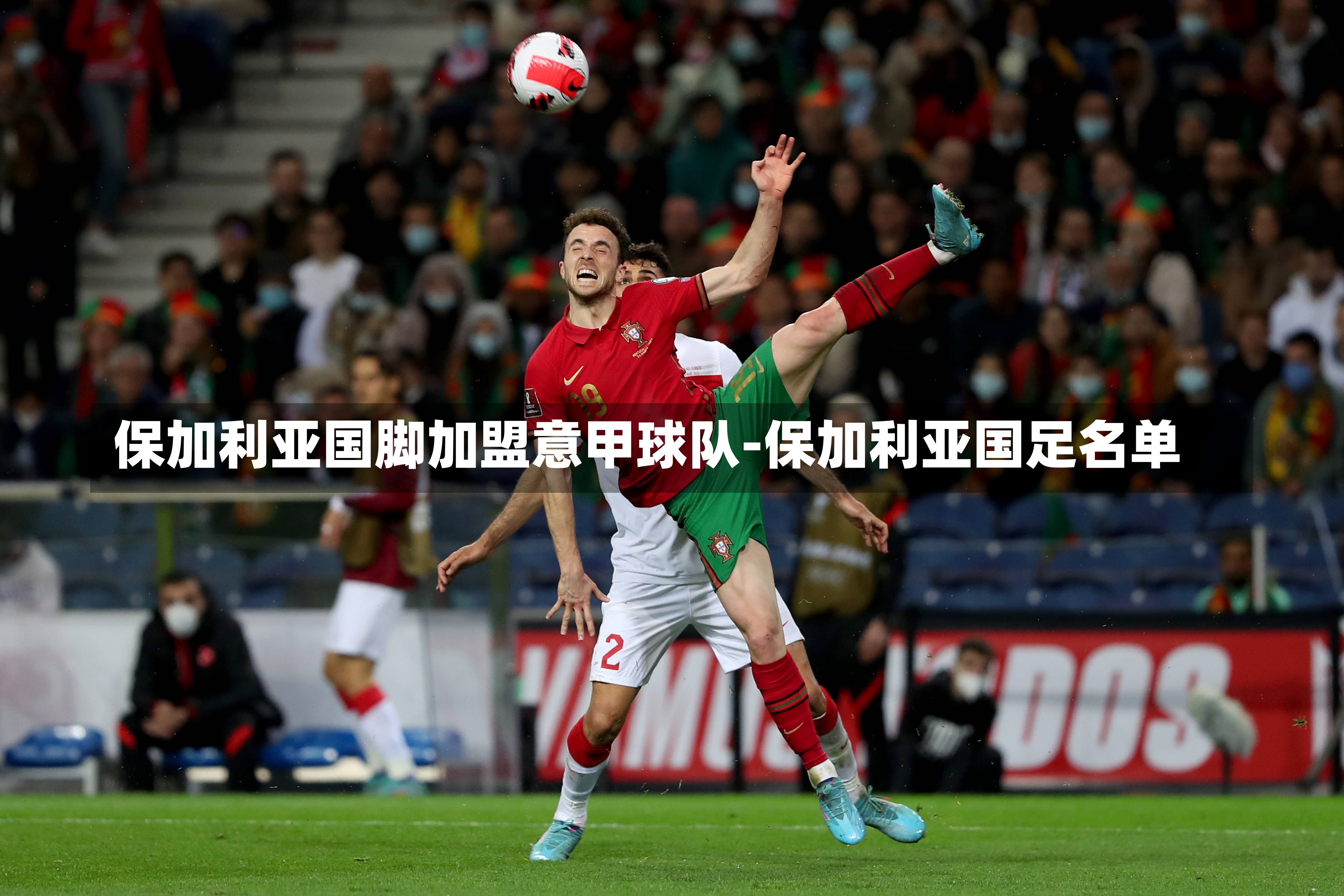 保加利亚国脚加盟意甲球队-保加利亚国足名单