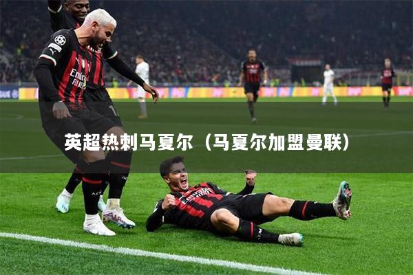 英超热刺马夏尔（马夏尔加盟曼联）